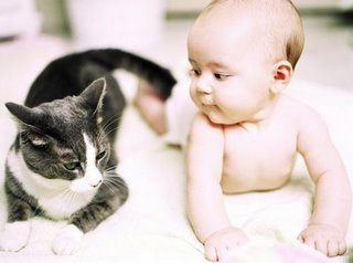 Fofura da Semana: Bebes e seus Gatinhos | Vida de mãe novata